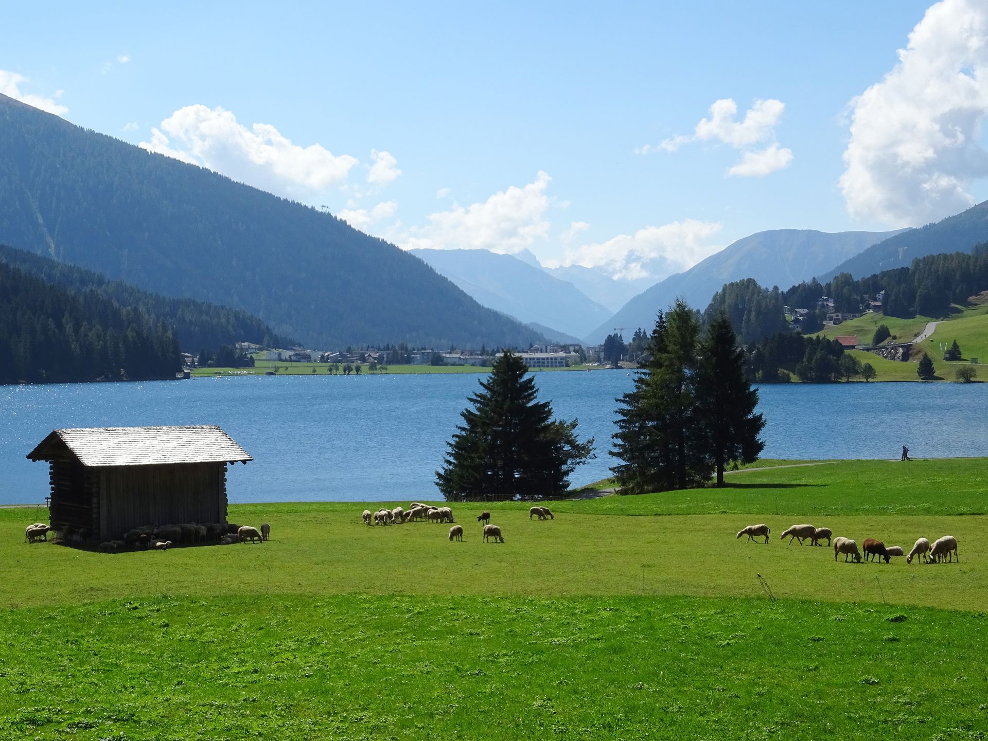 Davos